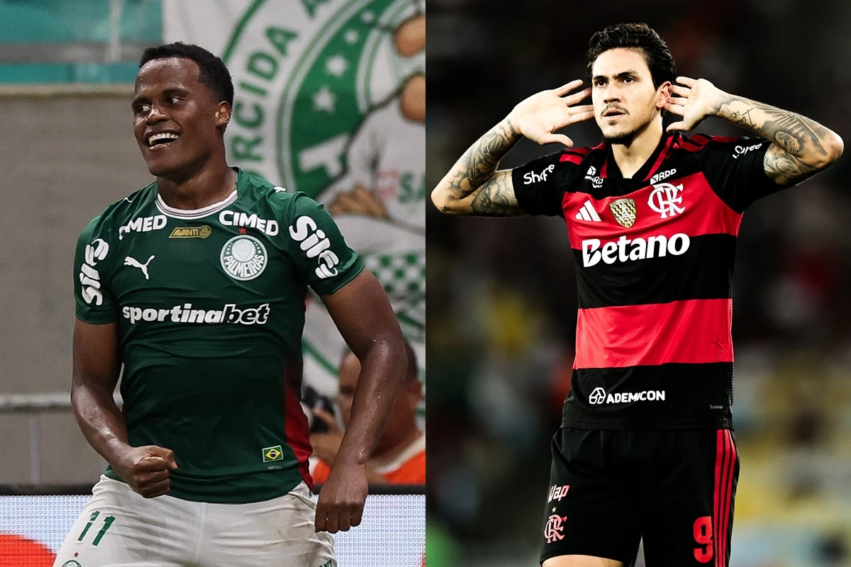 Cesar Greco/Palmeiras; Gilvan de Souza/Flamengo