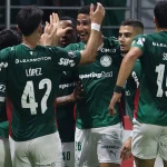 Imagem colorida de Jogadores do Palmeiras comemorando o gol