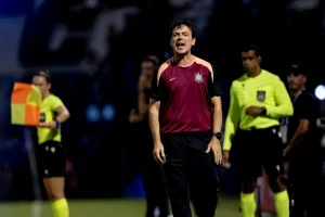 Imagem colorida de Fernando Diniz