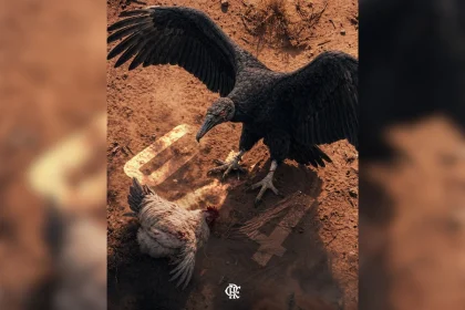 Reprodução / X @Flamengo